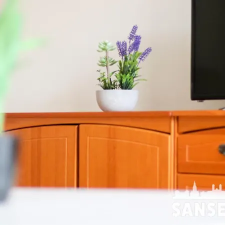Colon By Sanse Holidays * San Sebastian