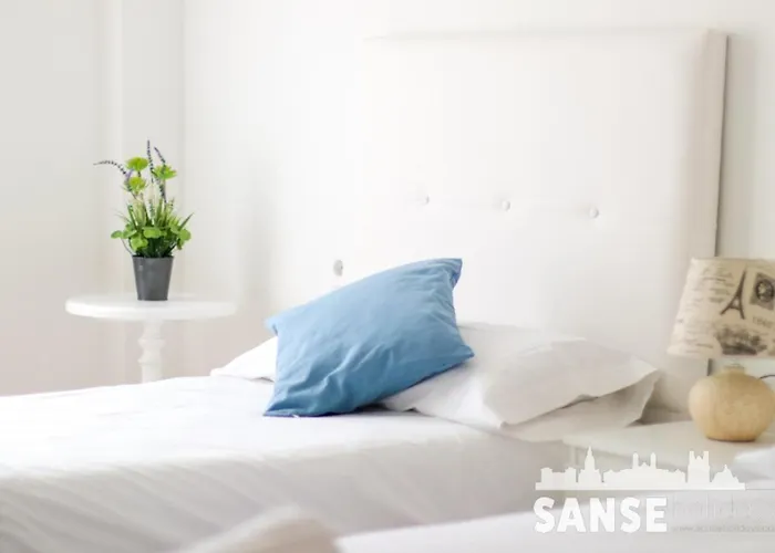 Colon By Sanse Holidays דירה סן סבסטיאן