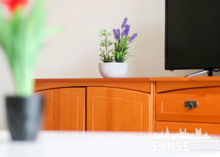 Colon By Sanse Holidays * סן סבסטיאן